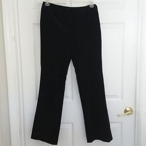 Ann Taylor Loft Pants